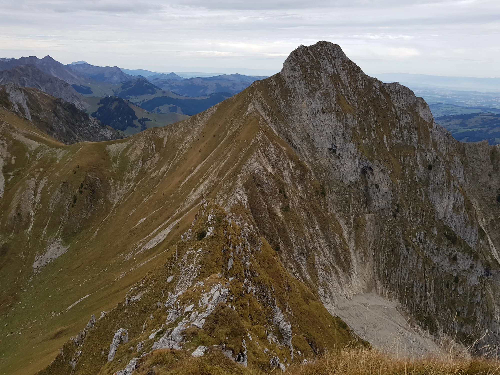 2018-10-06 11-25-46 gemsgrat_014.jpg