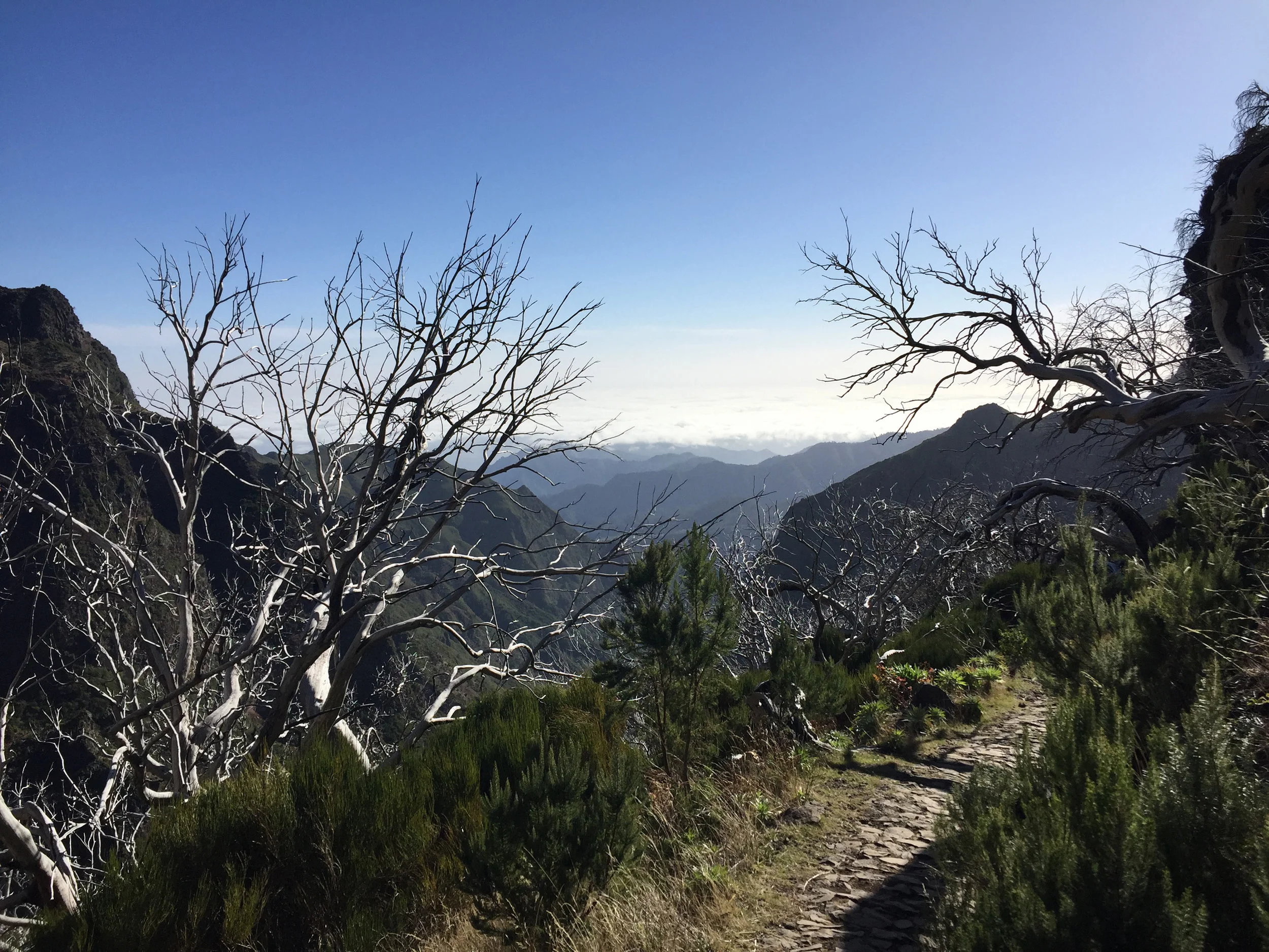picos_014.jpg