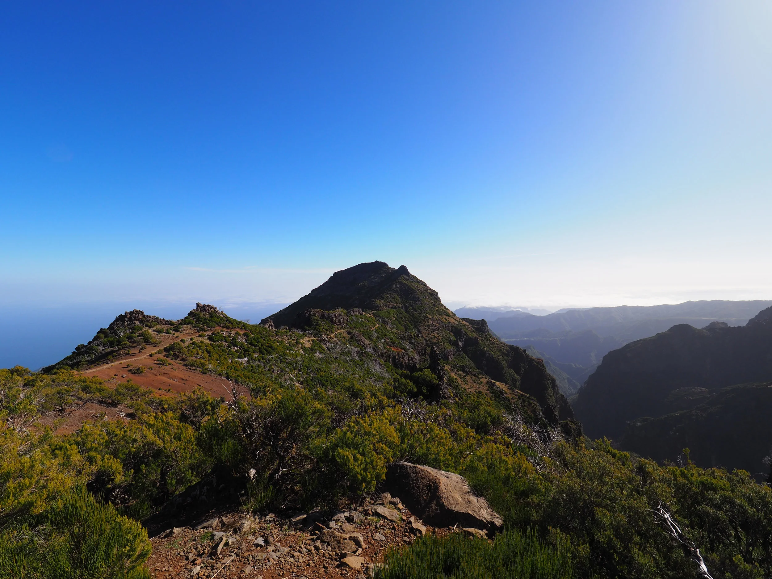 picos_018.jpg