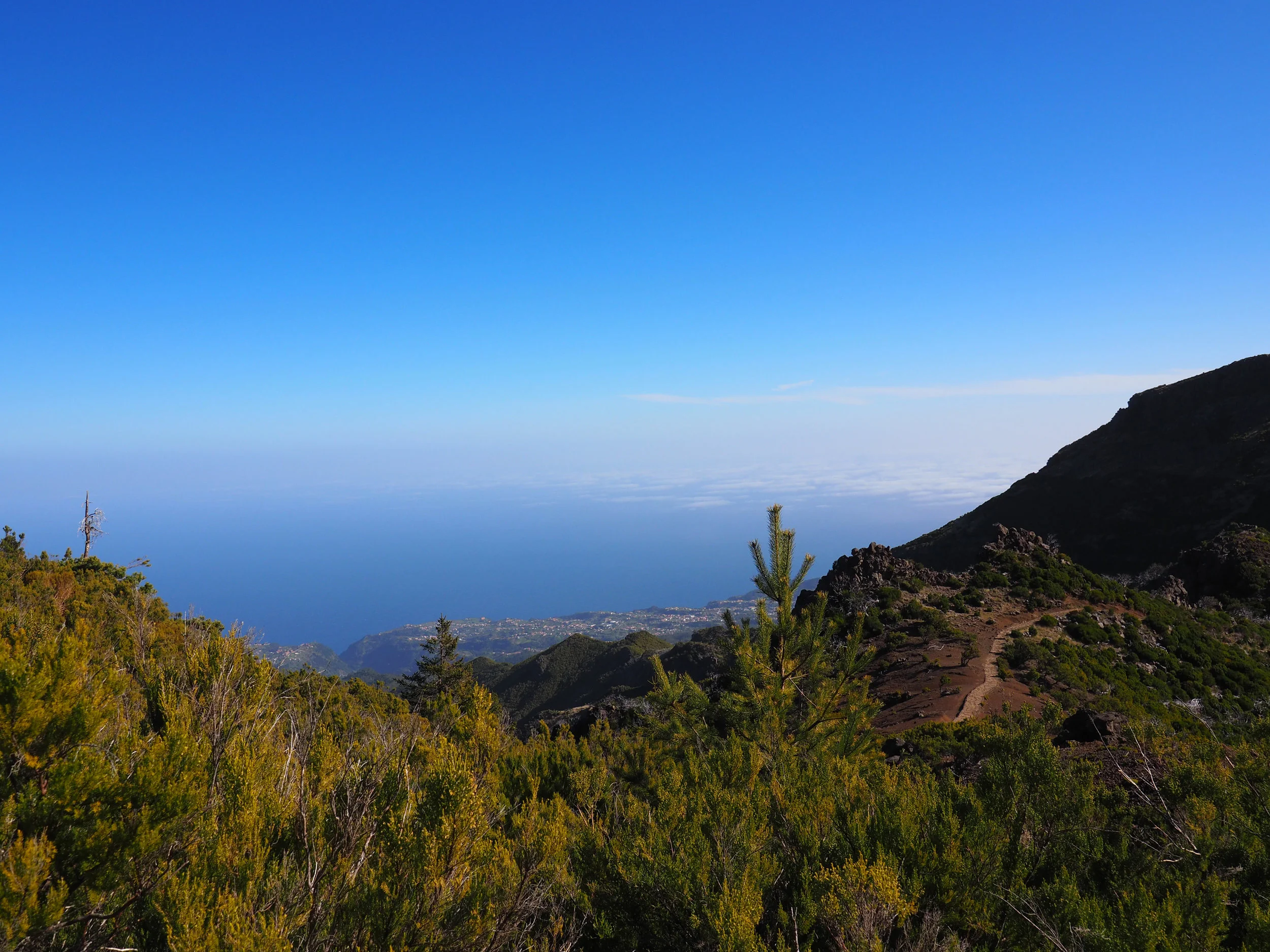 picos_021.jpg