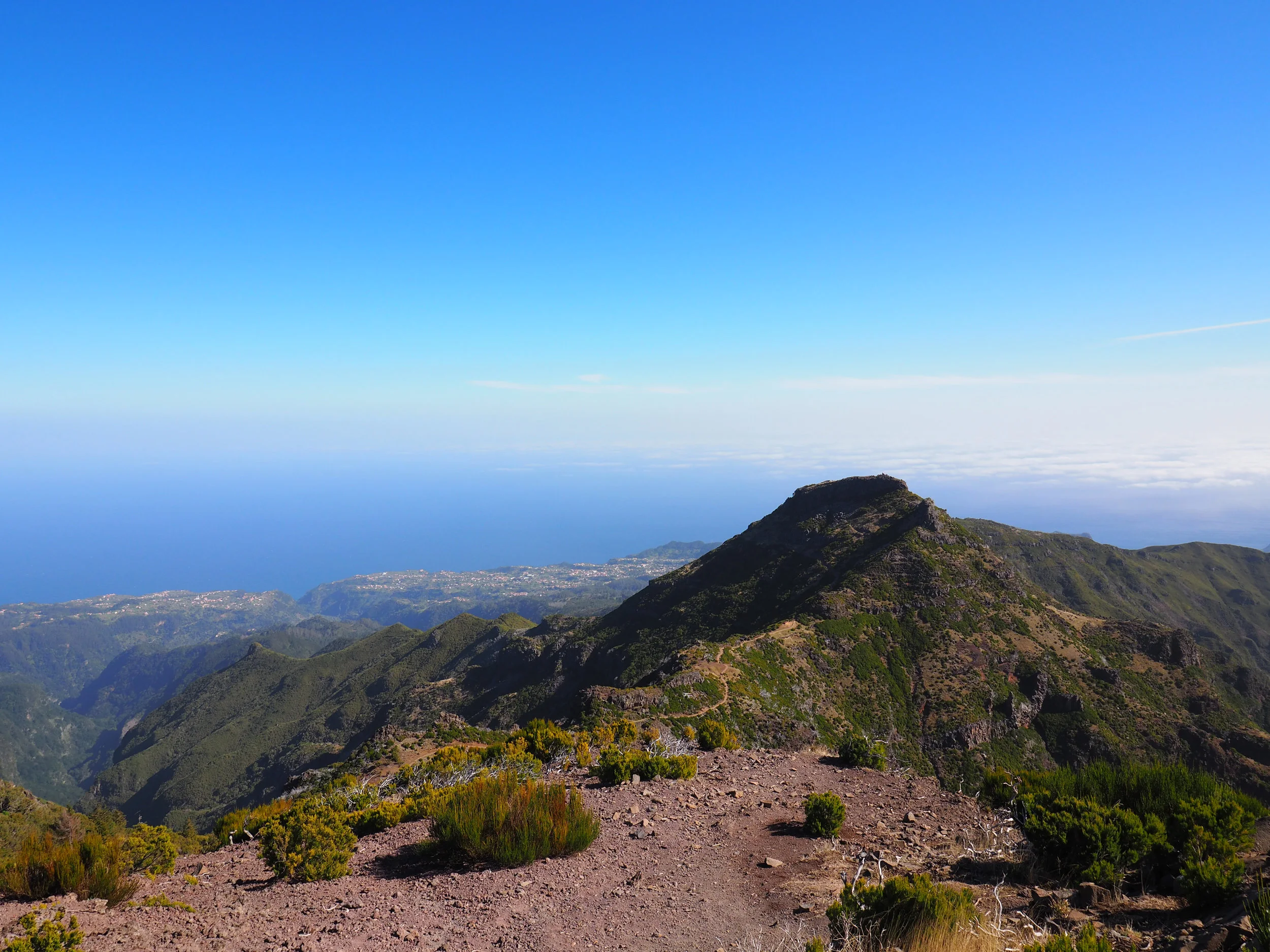 picos_023.jpg
