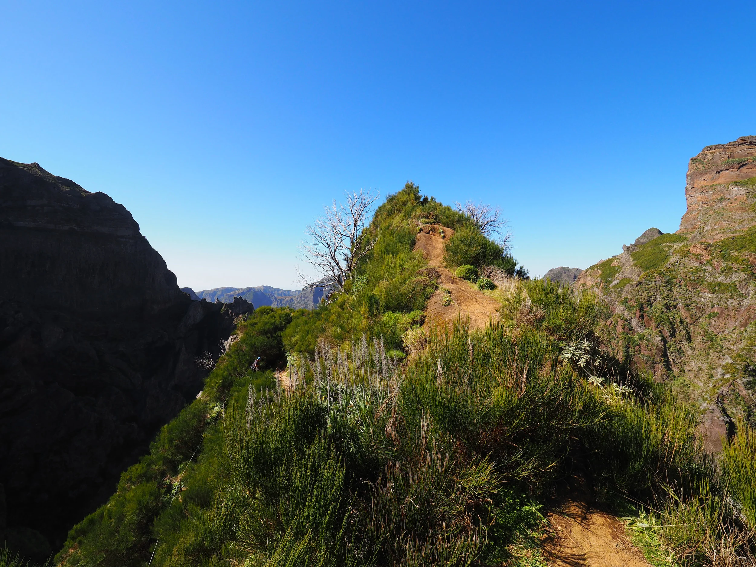 picos_026.jpg