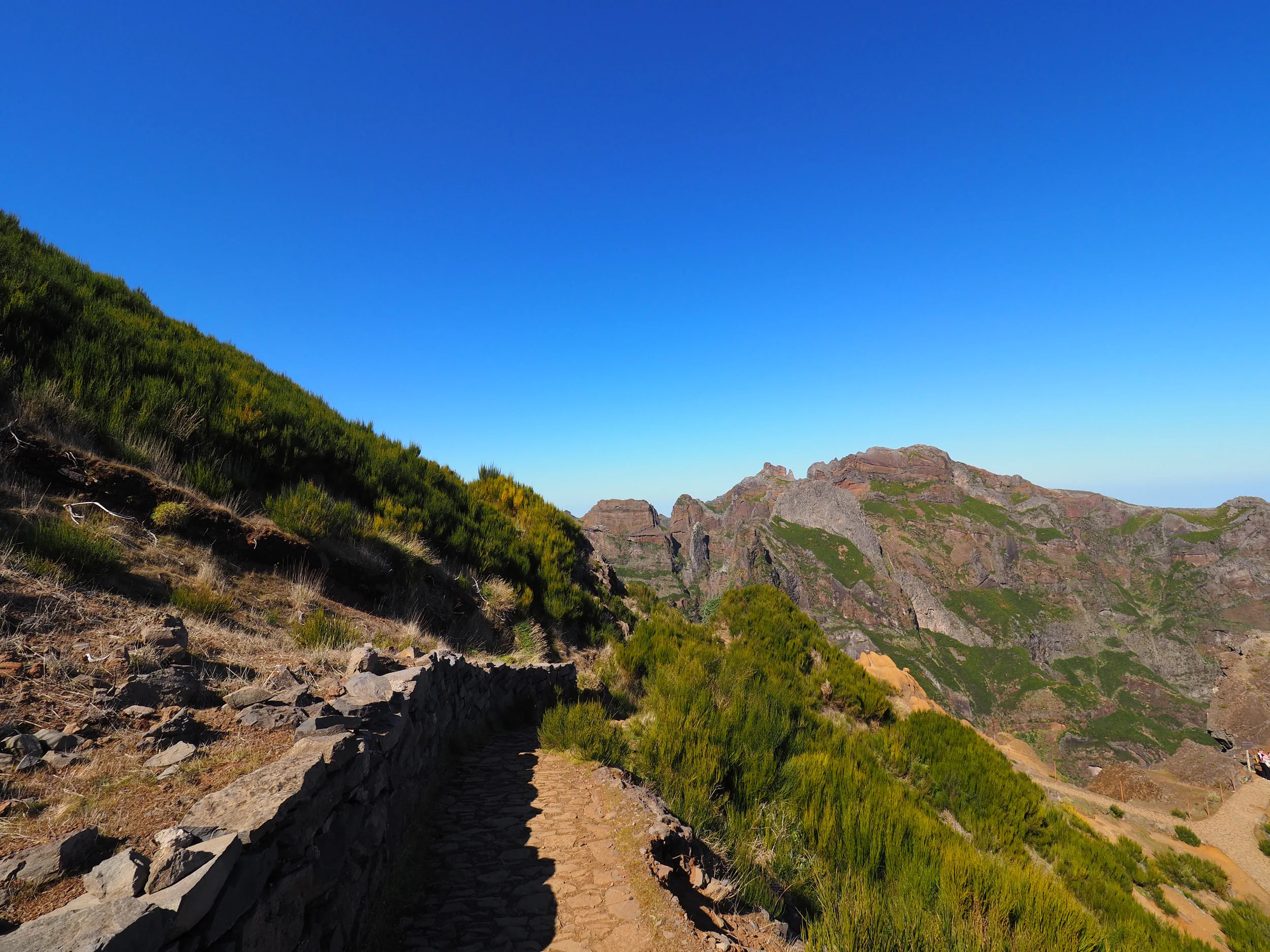 picos_034.jpg