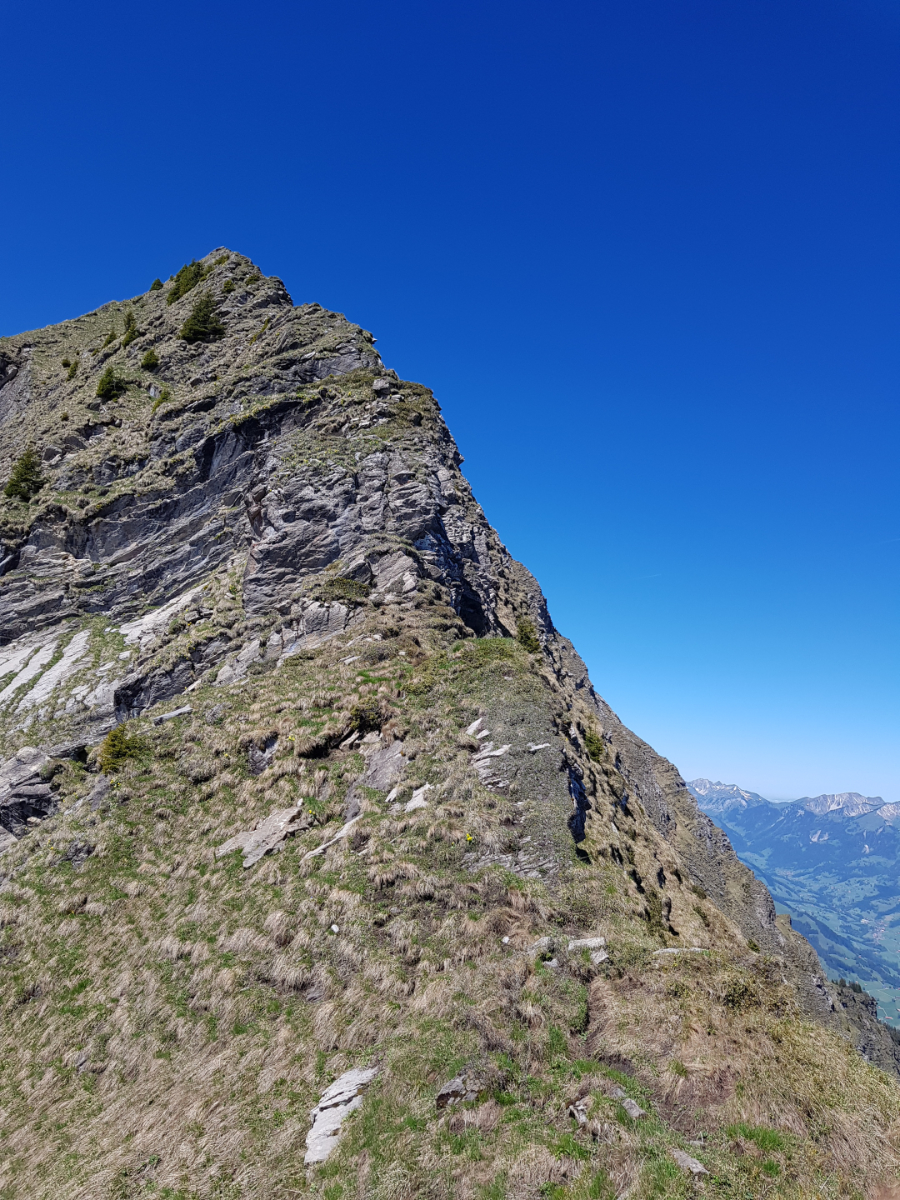 20190617_111812.jpg