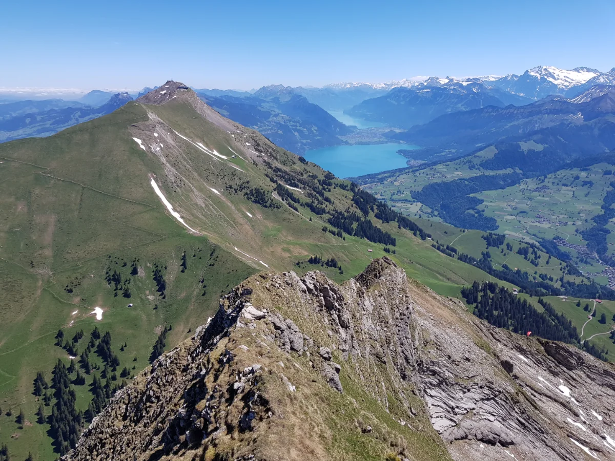 20190617_115345.jpg