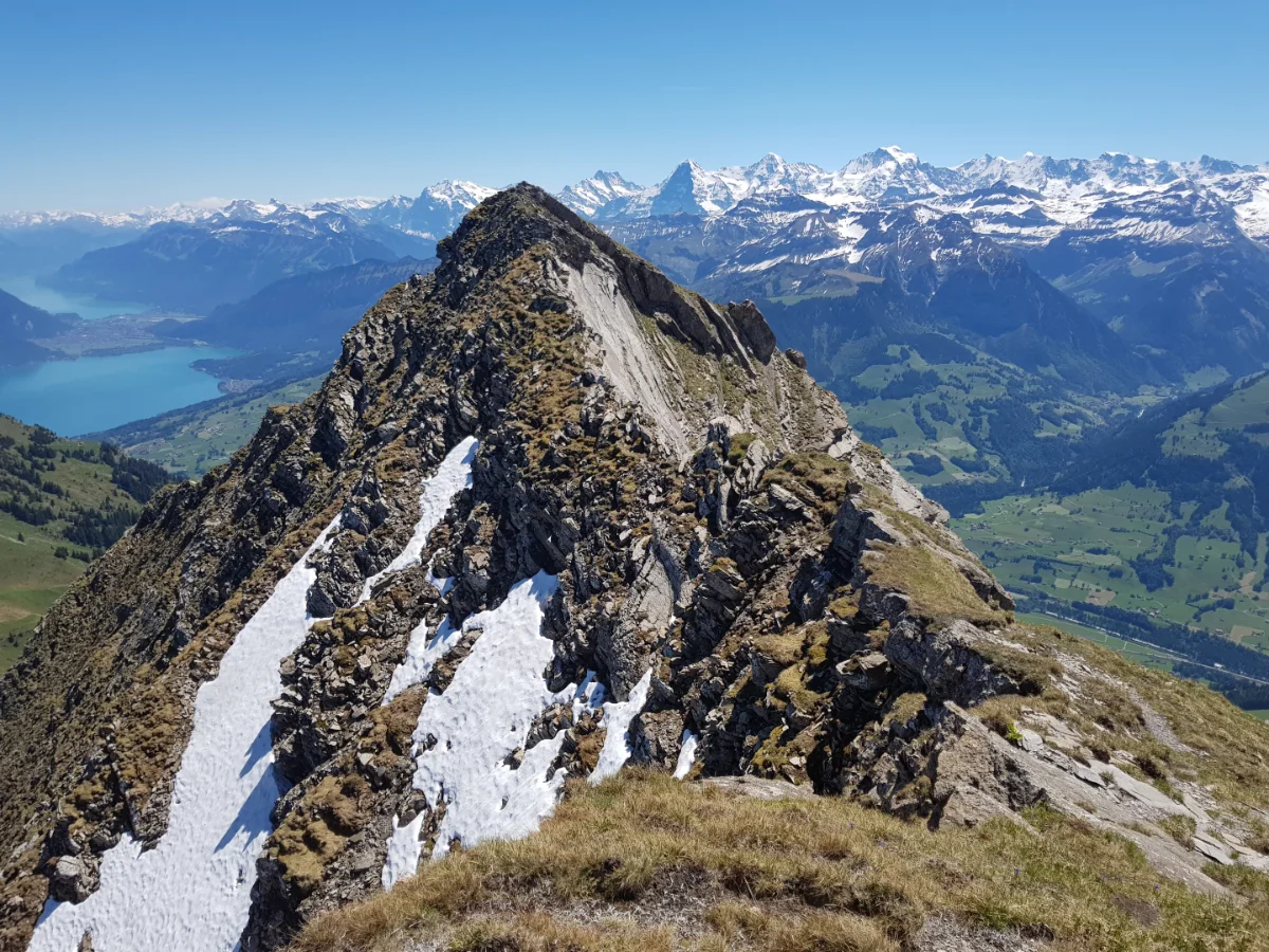 20190617_122241.jpg