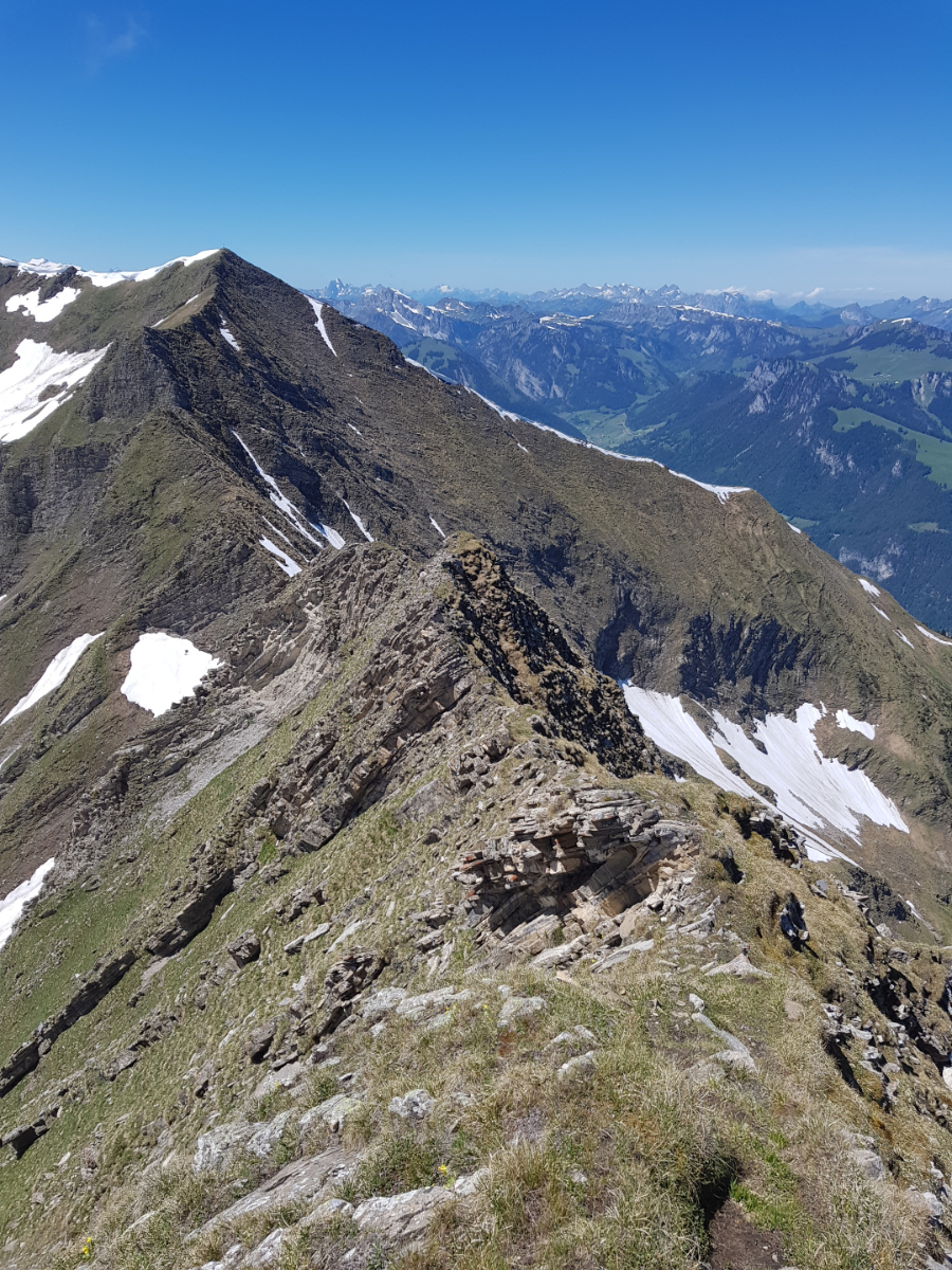 20190617_122735.jpg