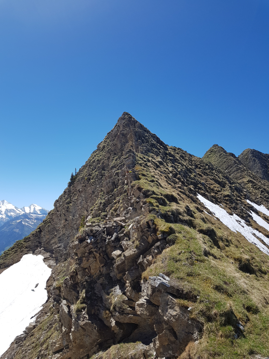 20190617_123712.jpg