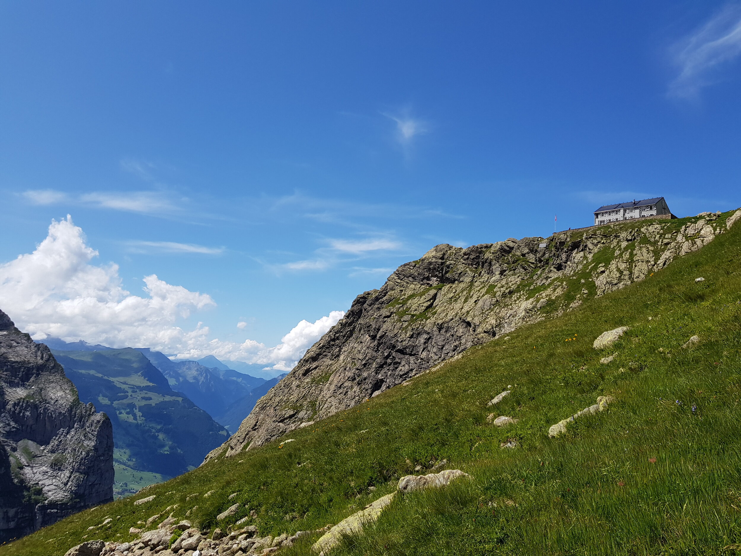 20190808_142433.jpg