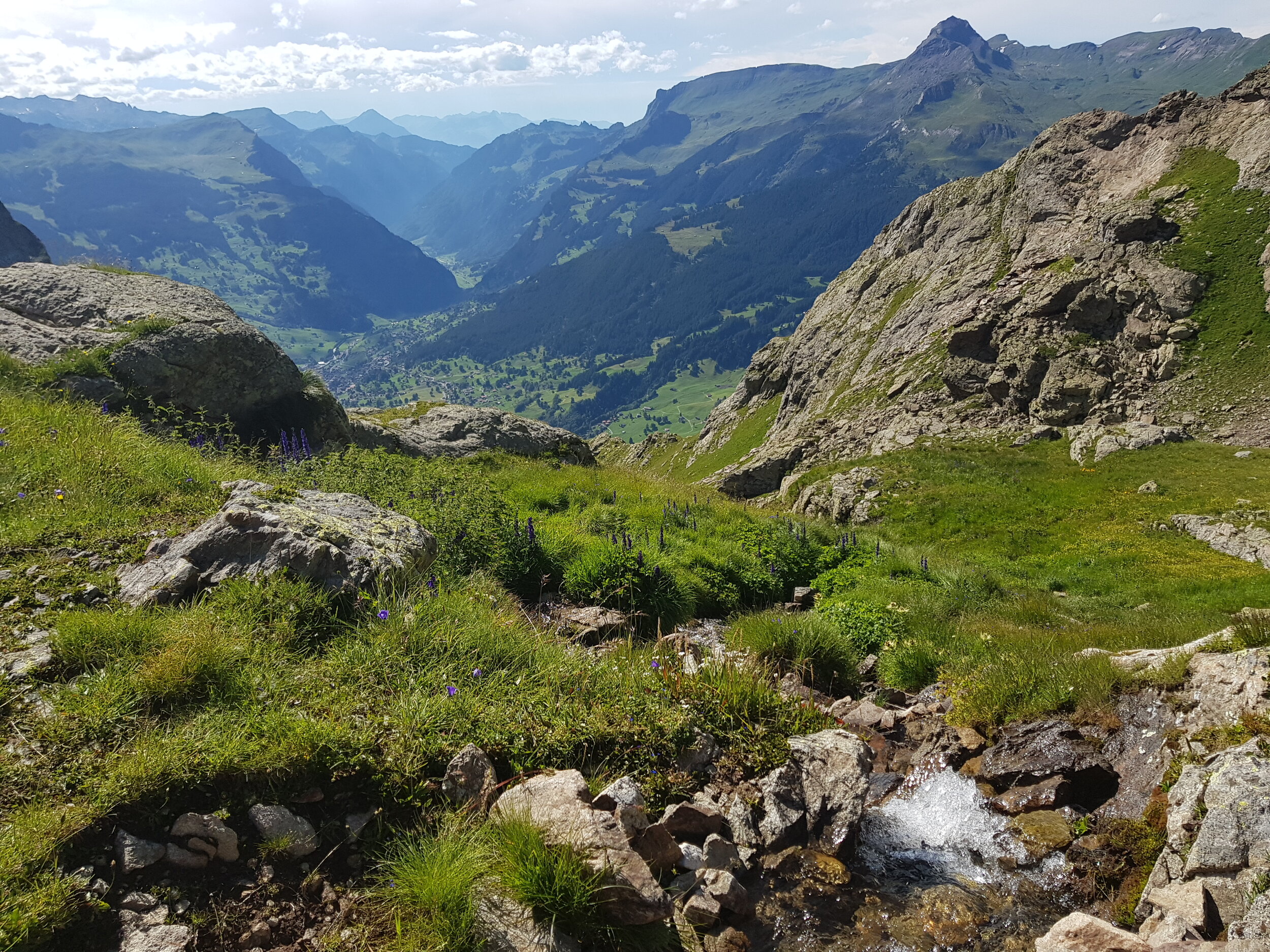 20190809_164254.jpg