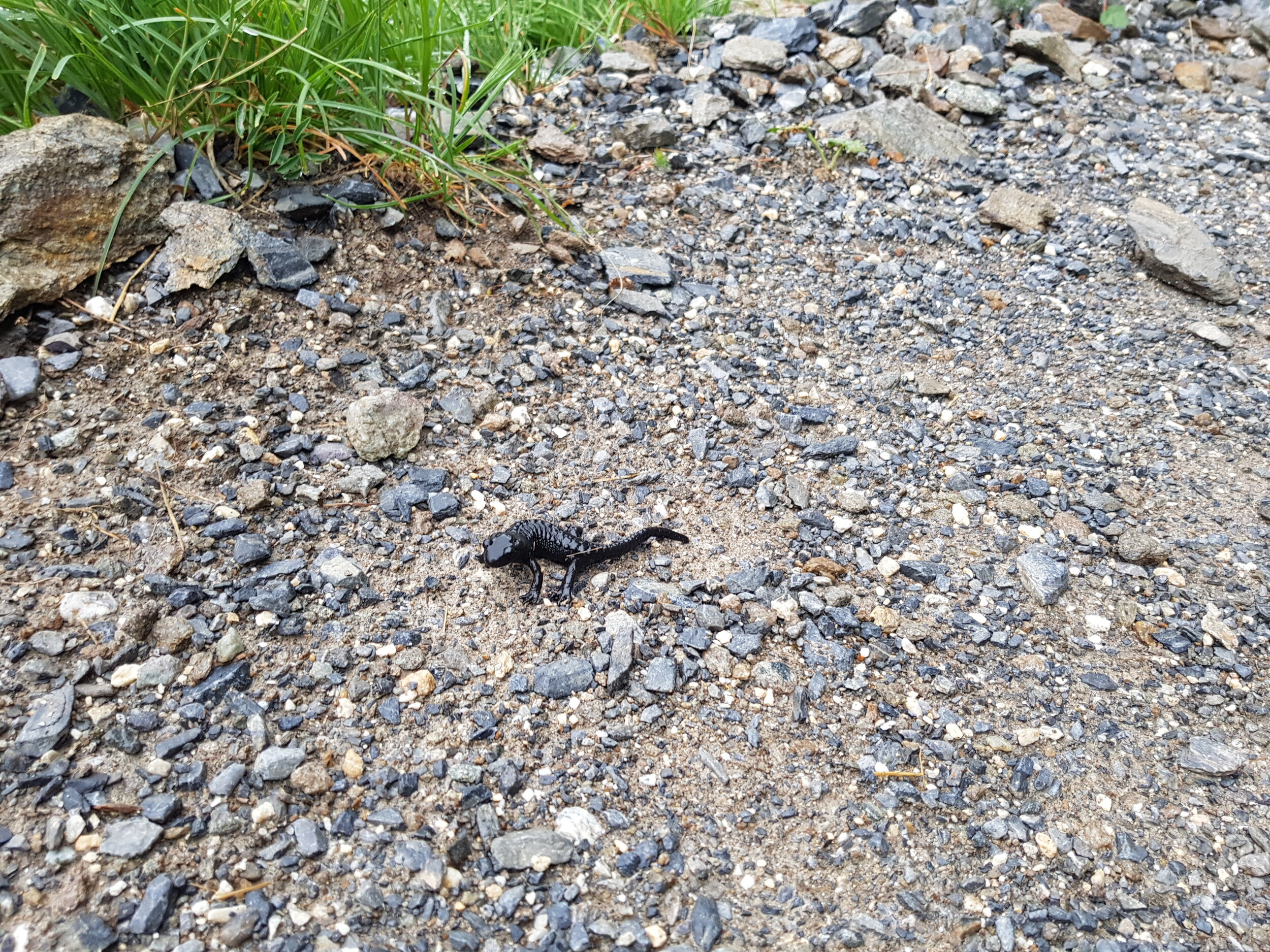 20190810_082847.jpg