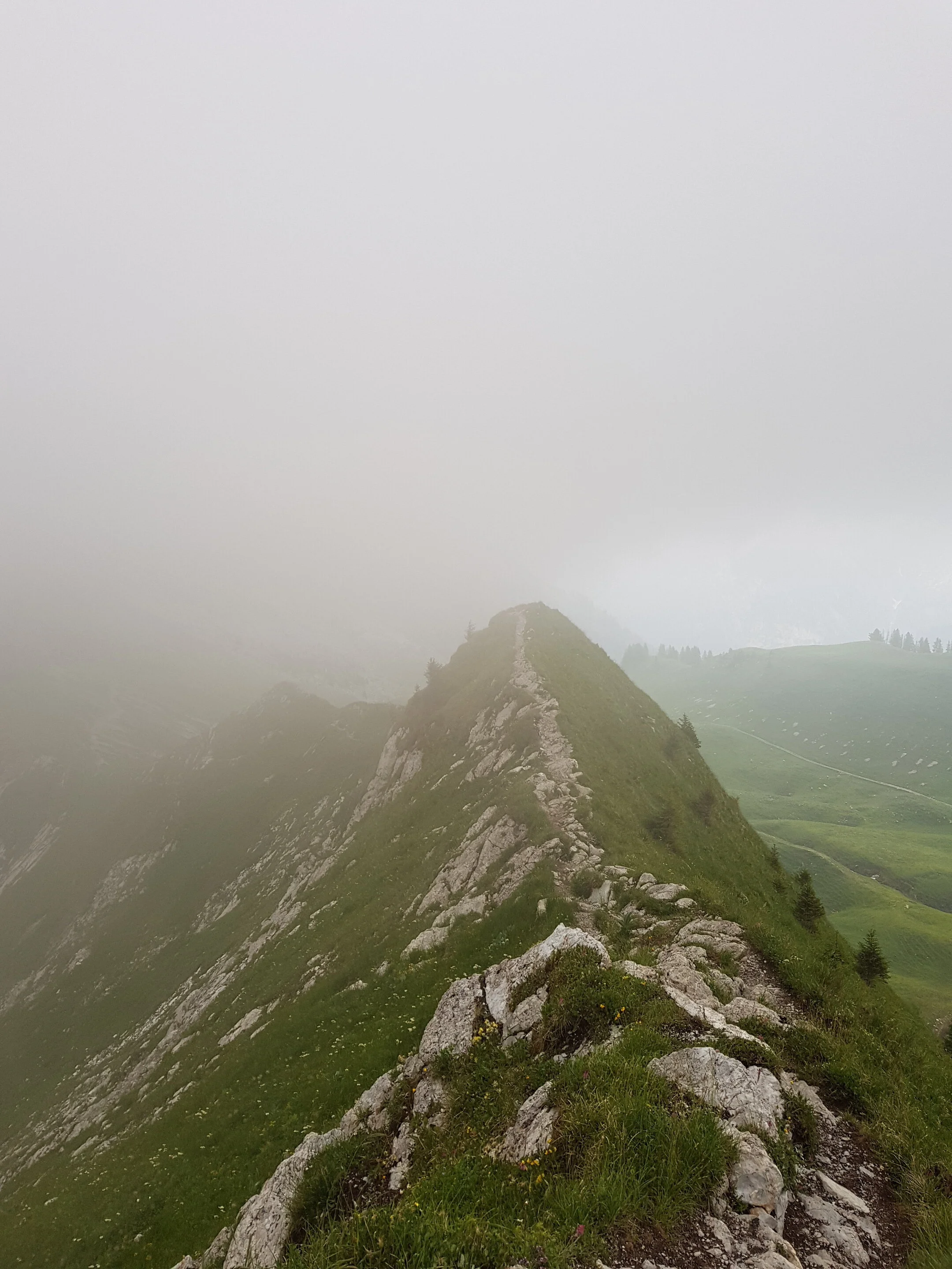 20190702_201932.jpg