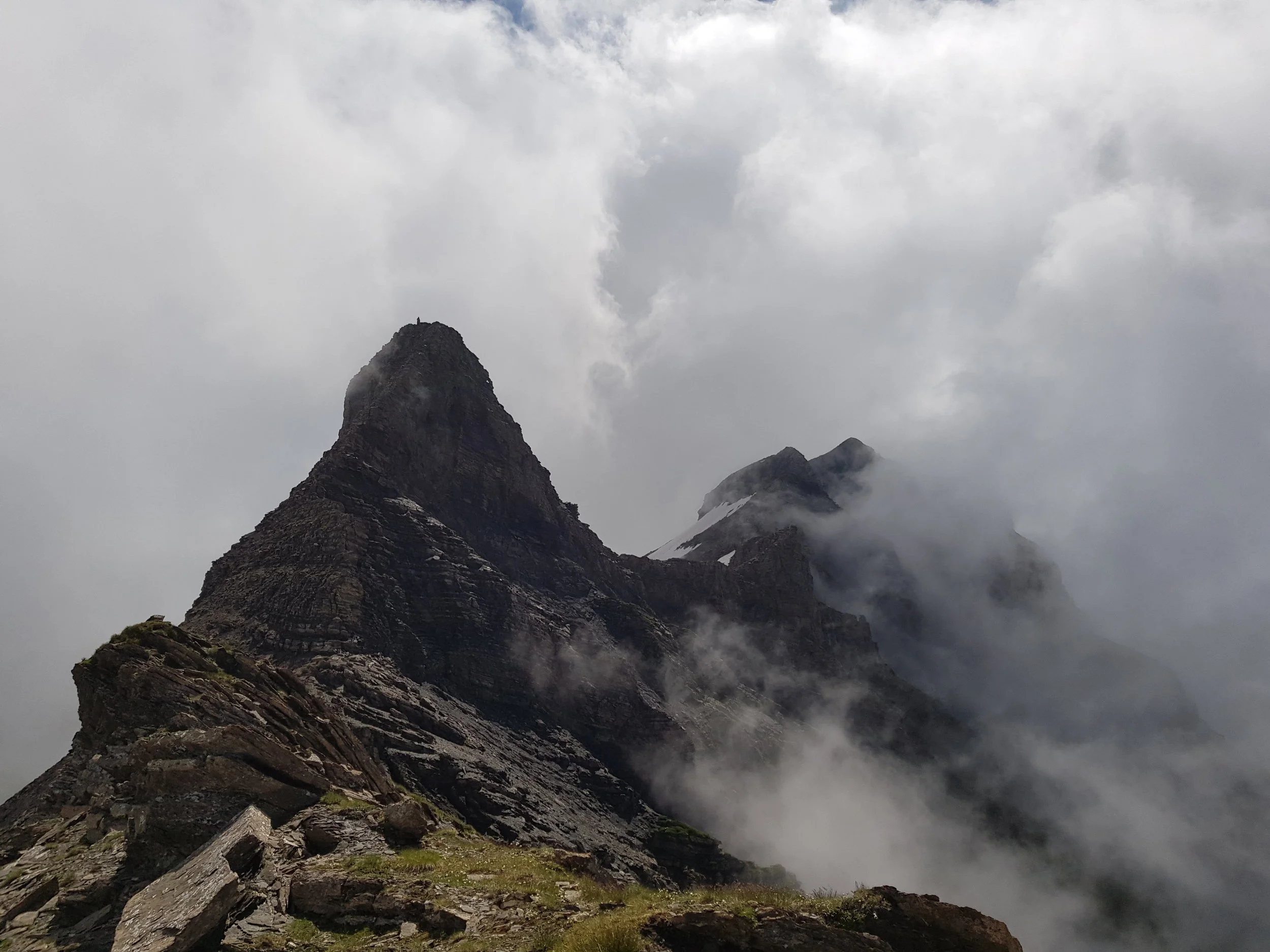 Esel, Simelihorn, Reeti