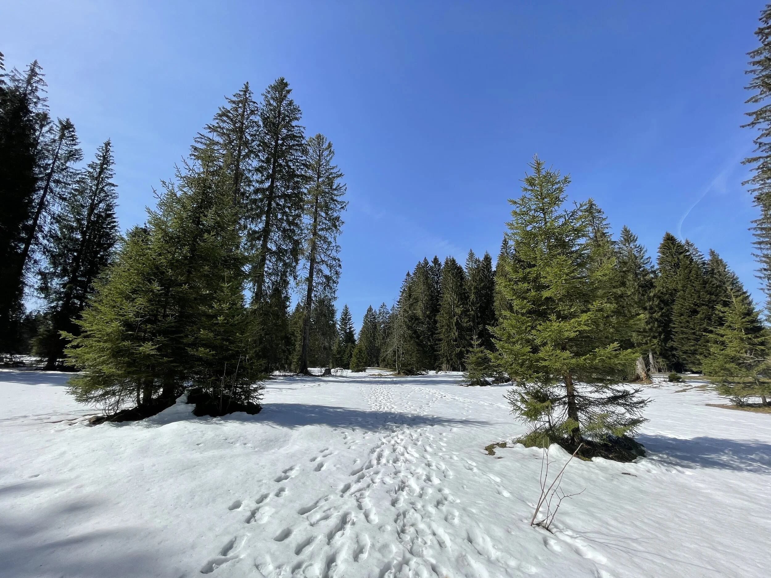 Saignelégier - St-Imier