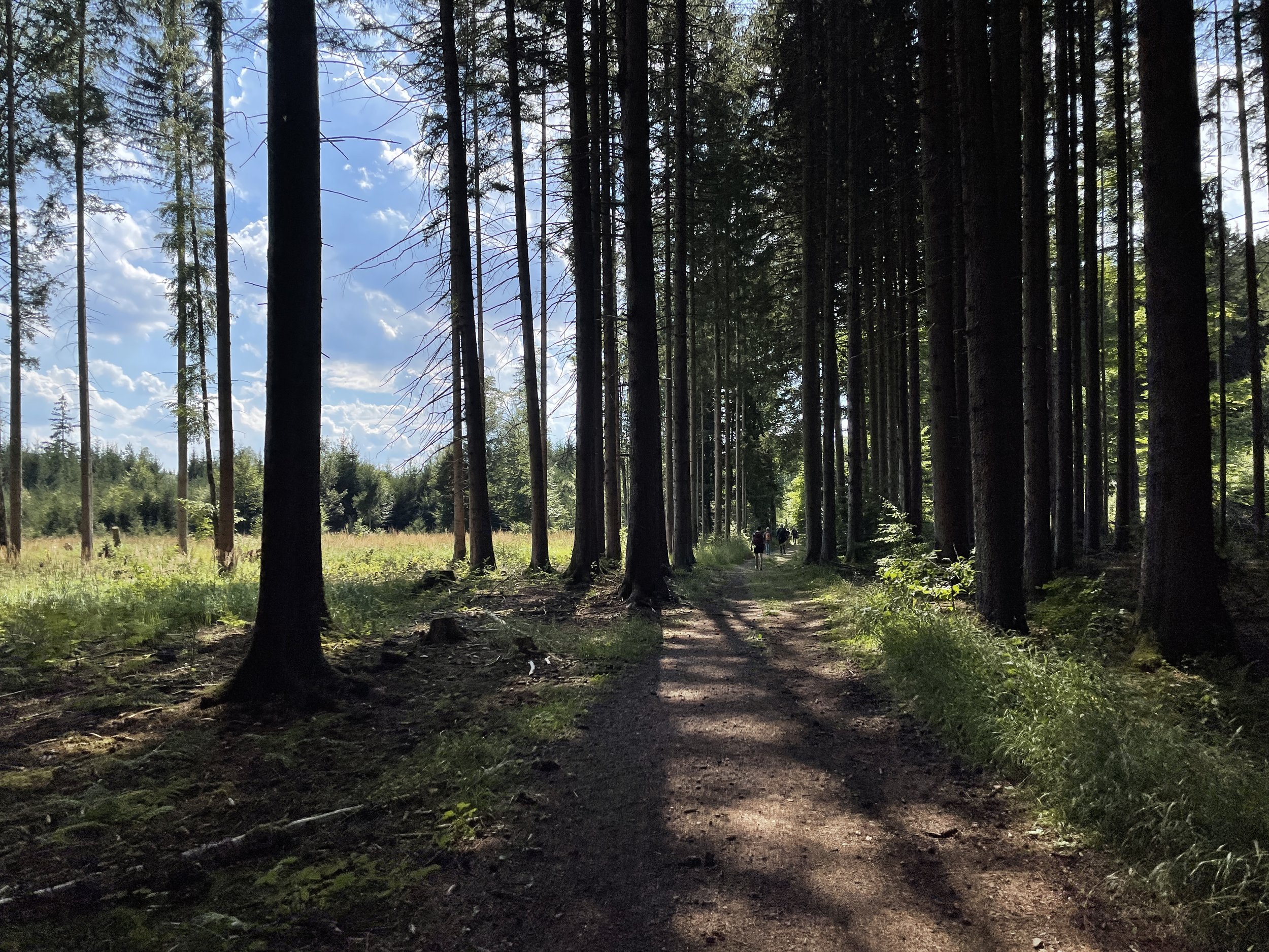 Mammutmarsch München 100km