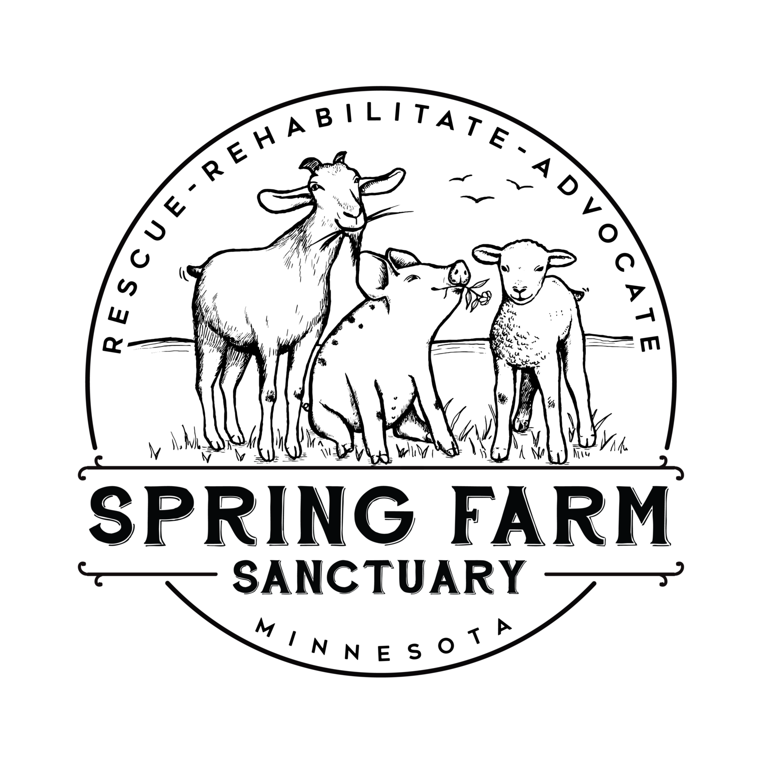 Spring Farm Sanctuary