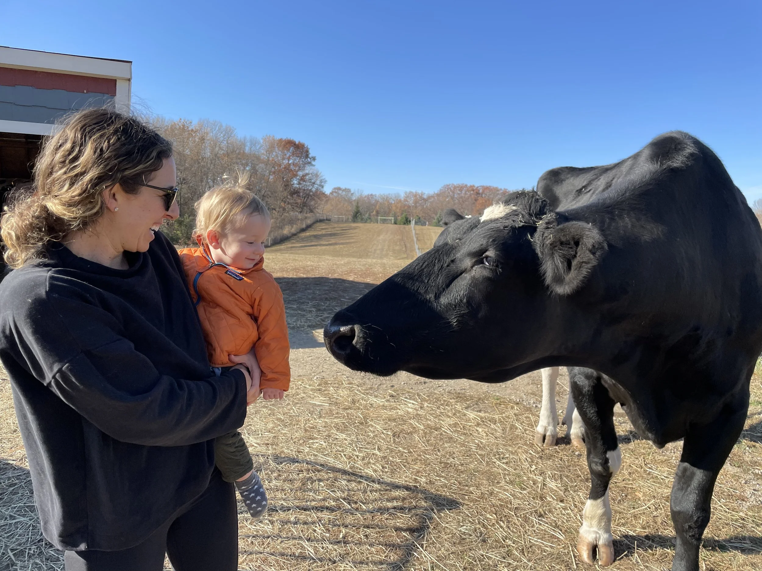 Spring Farm Sanctuary