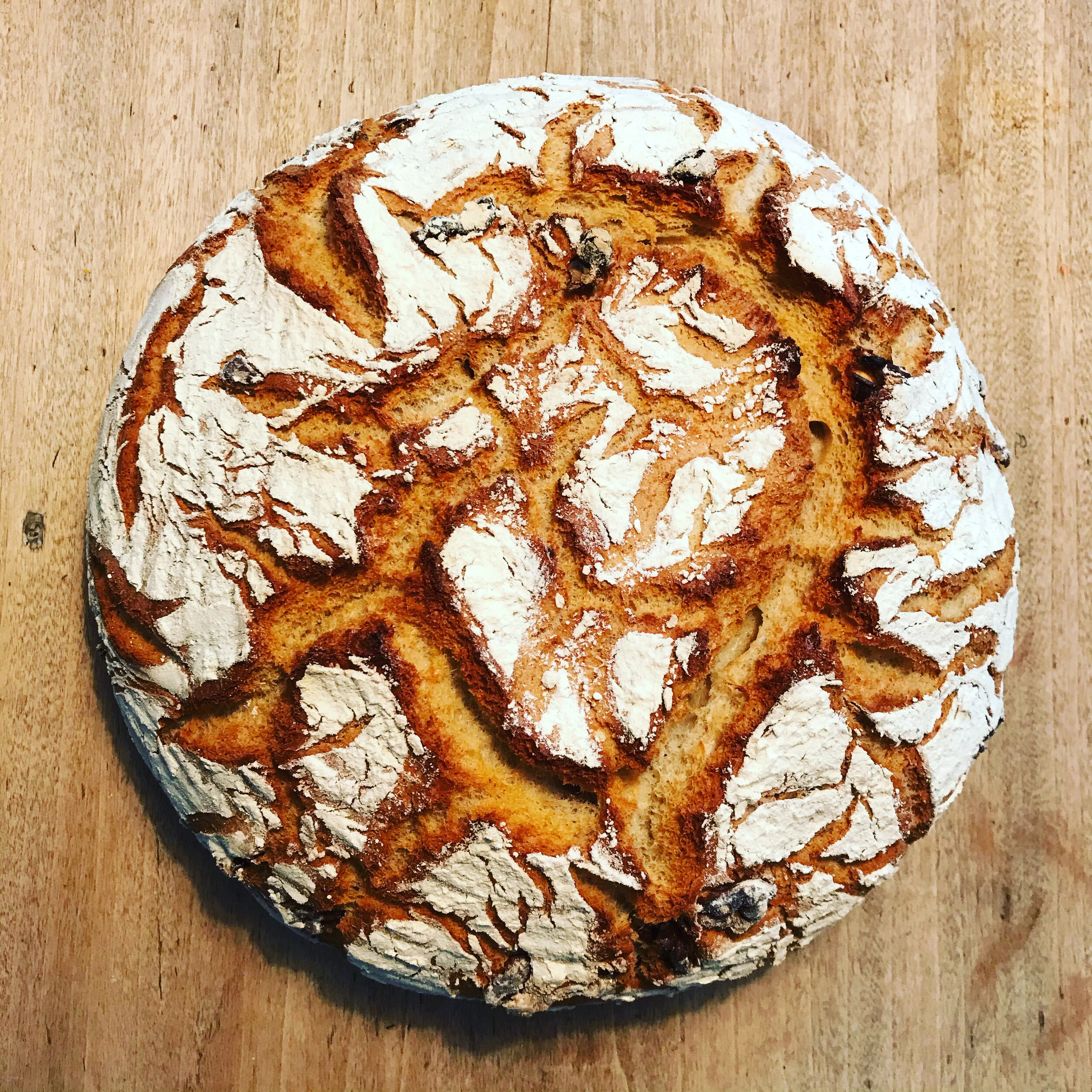 Walnut and spelt bread