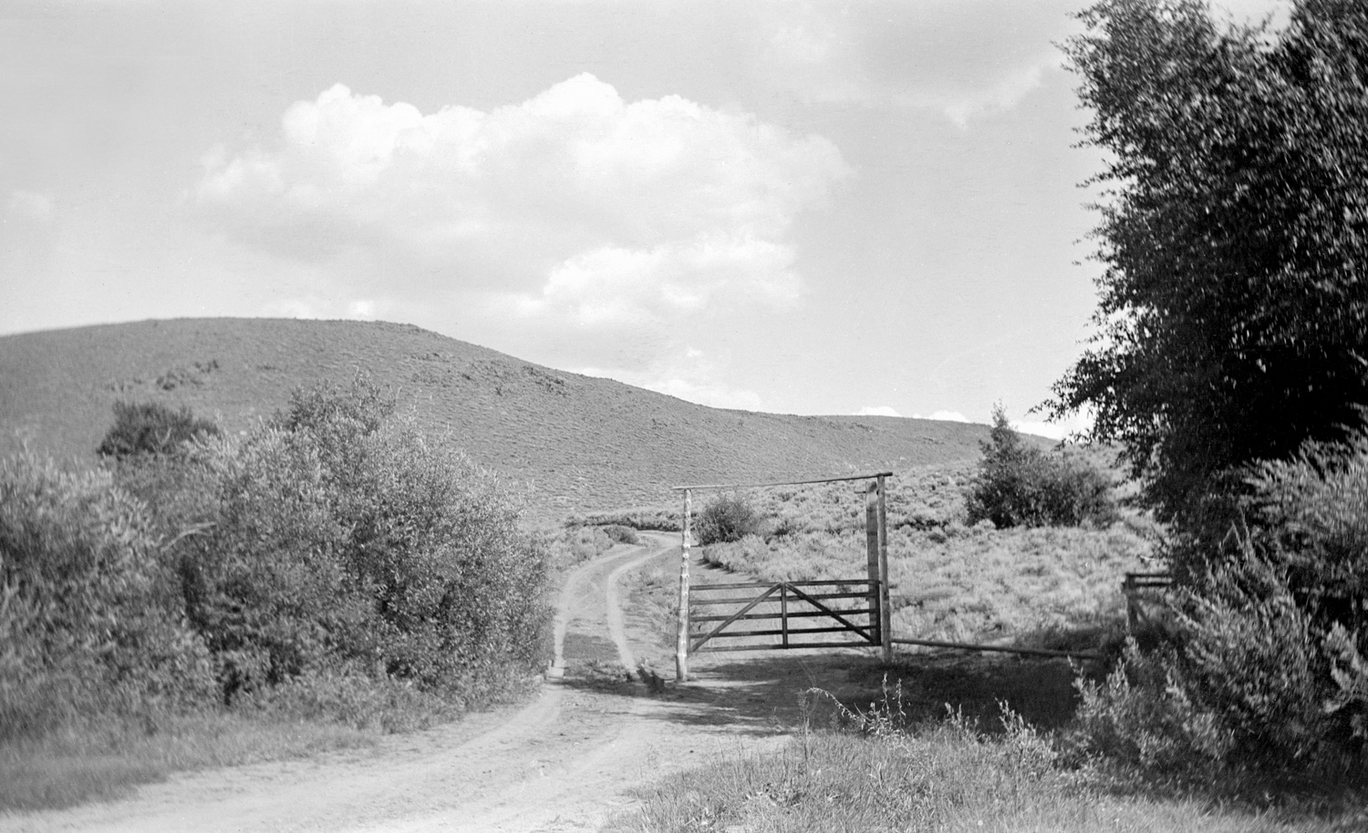 Willow Glen, 1930