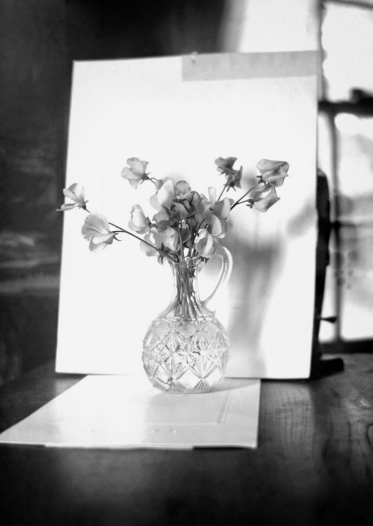 Screenshot 2026-02-18 at 9.51.34 AM.png