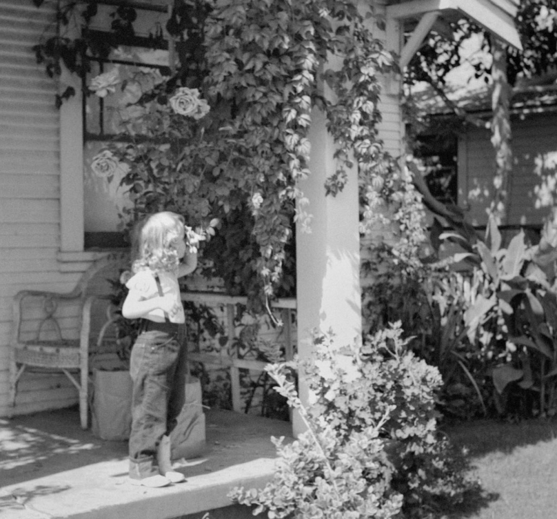 Screenshot 2026-02-18 at 10.21.53 AM.png