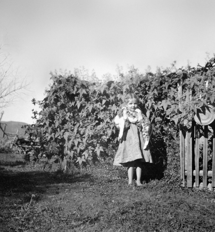 Screenshot 2026-02-18 at 10.17.20 AM.png