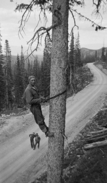 Screenshot 2026-02-18 at 10.32.59 AM.png