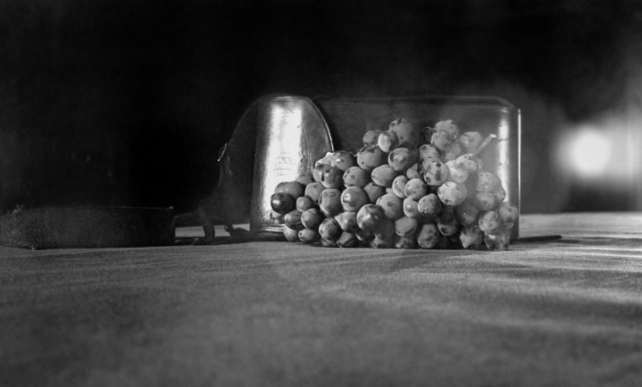 Screenshot 2026-02-18 at 10.22.54 AM.png