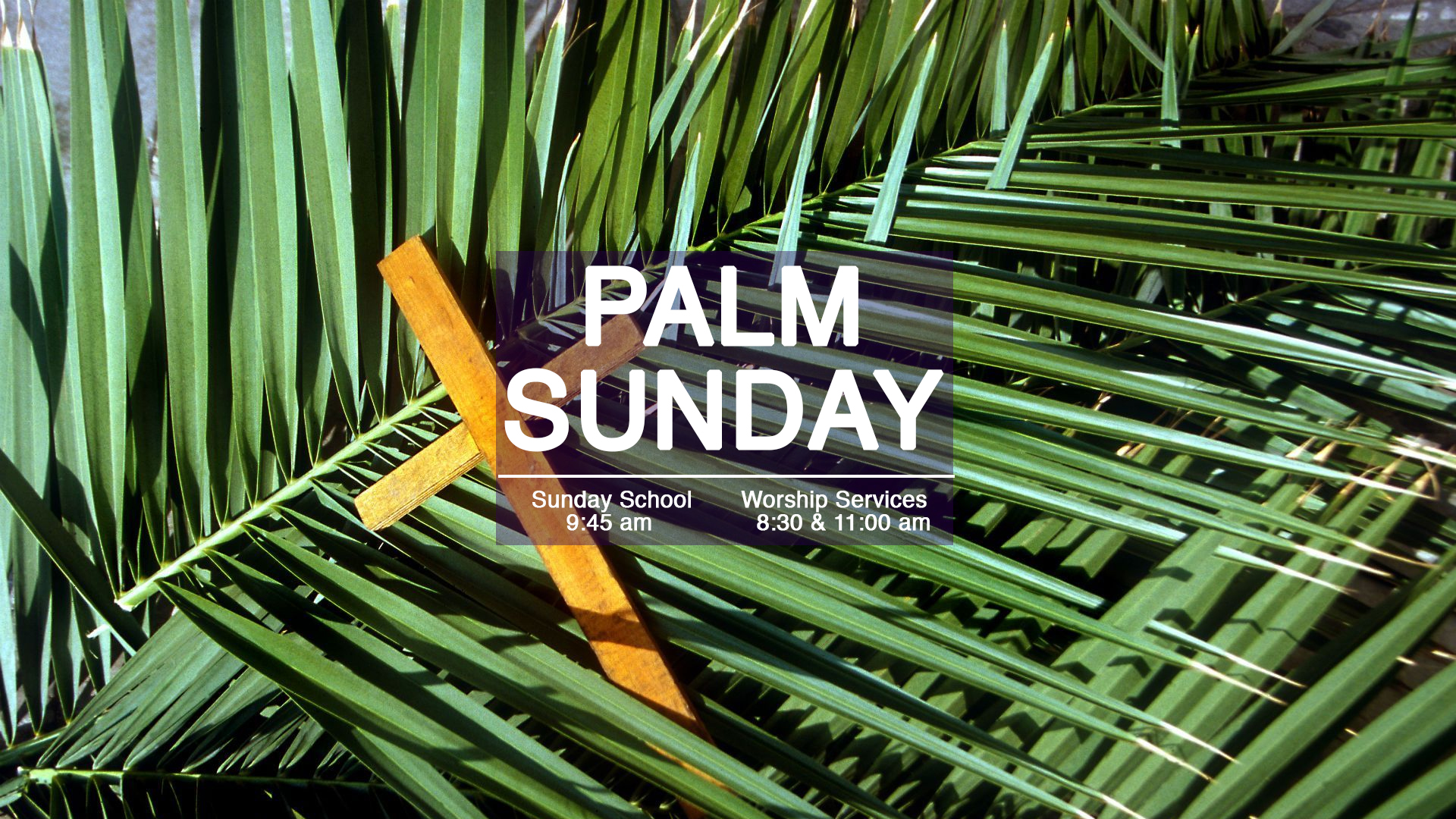 Palm Sunday