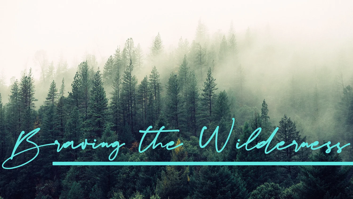 Braving The Wilderness: God Provides episode artwork
