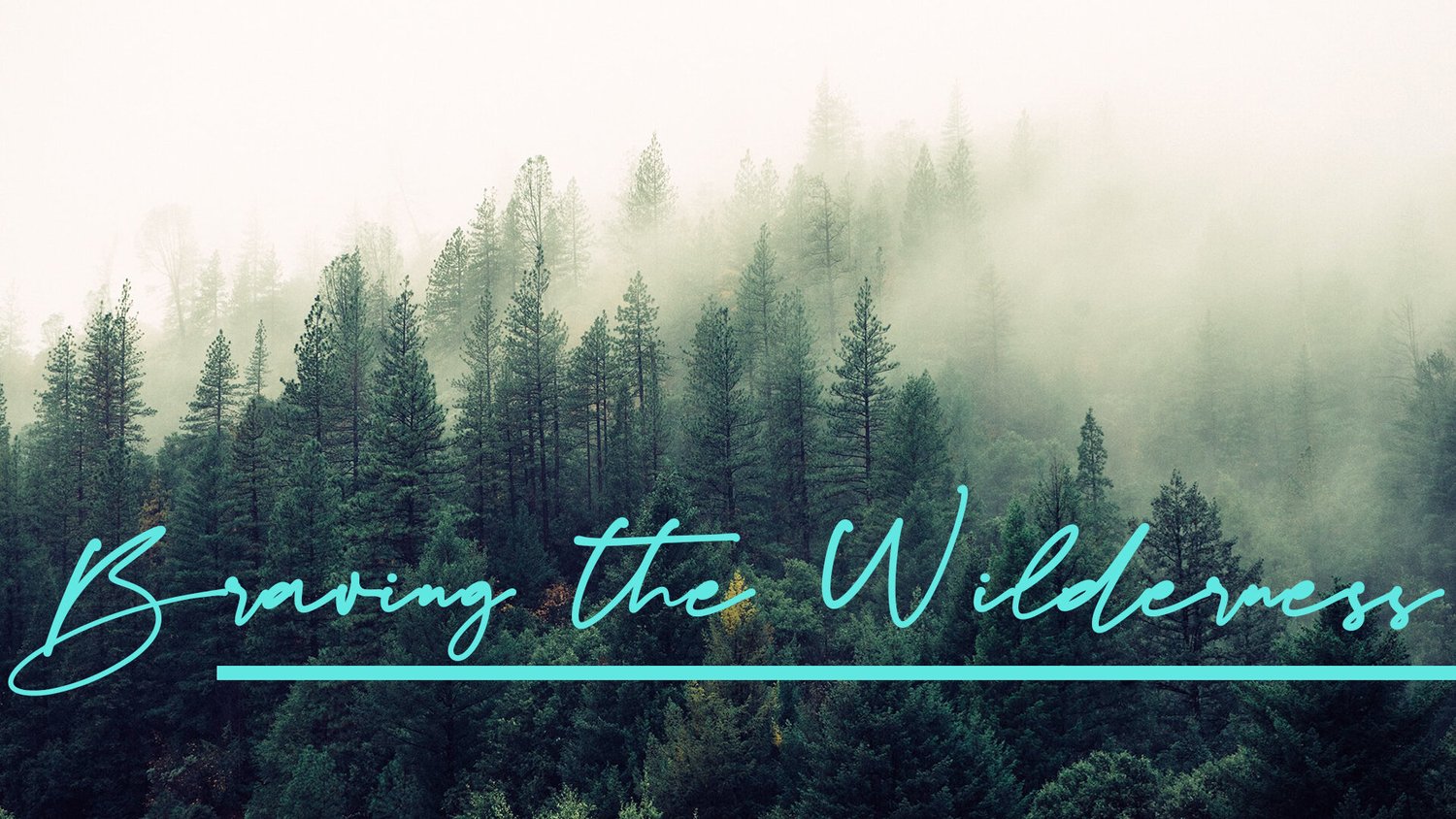 Braving The Wilderness: The Easy Way Or The Hard Way episode artwork