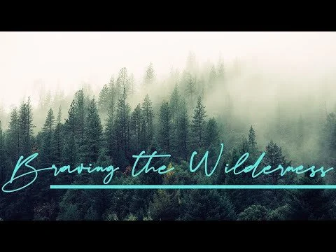 Braving The Wilderness: Five Details from the Good Samaritan You May Have Missed (Copy)