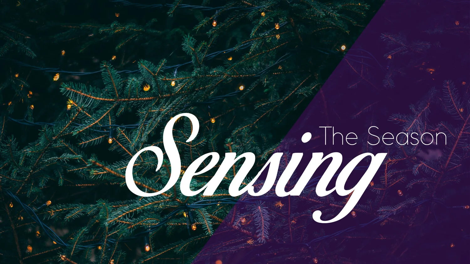 Sensing the Season (Week 3) episode artwork