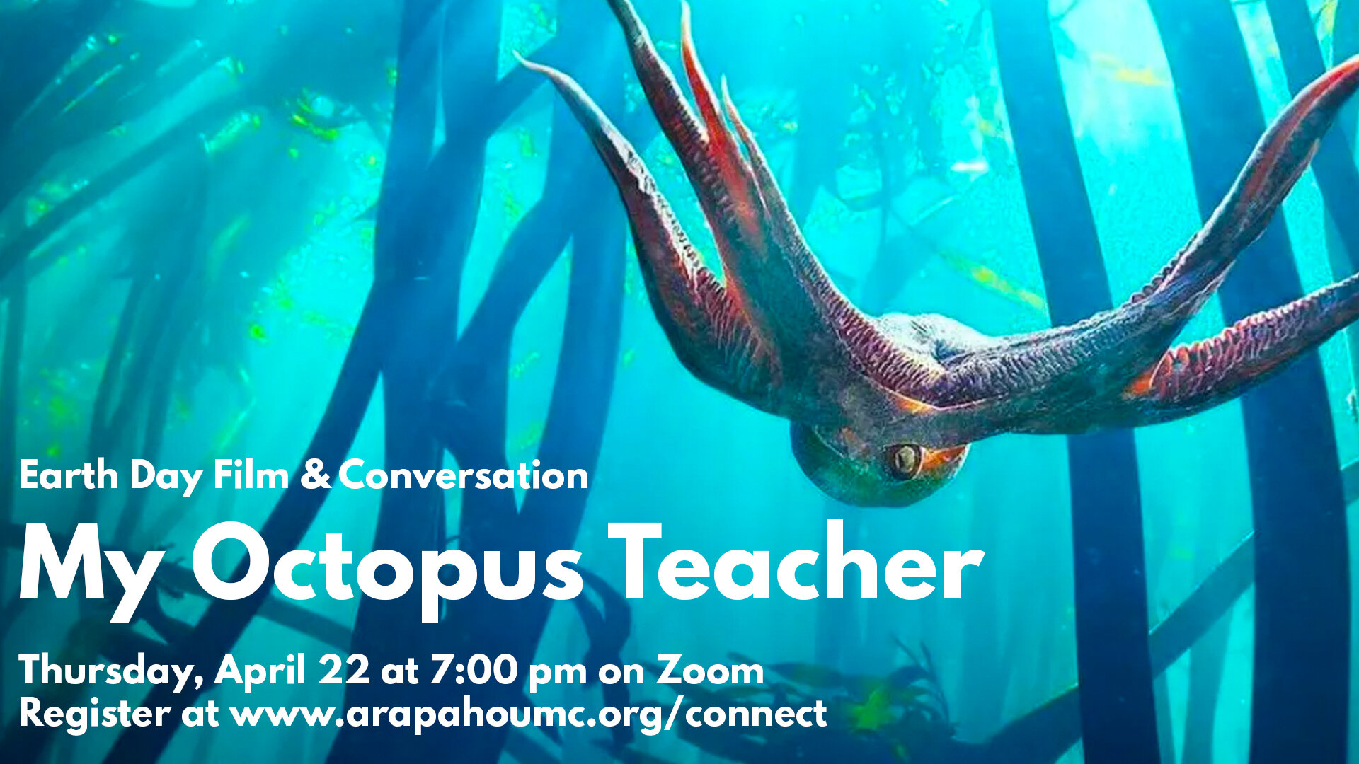 Earth Month Documentary Discussion - My Octopus Teacher