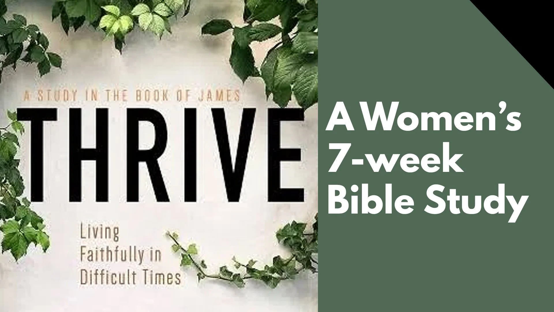 Women's 7-week Bible Study