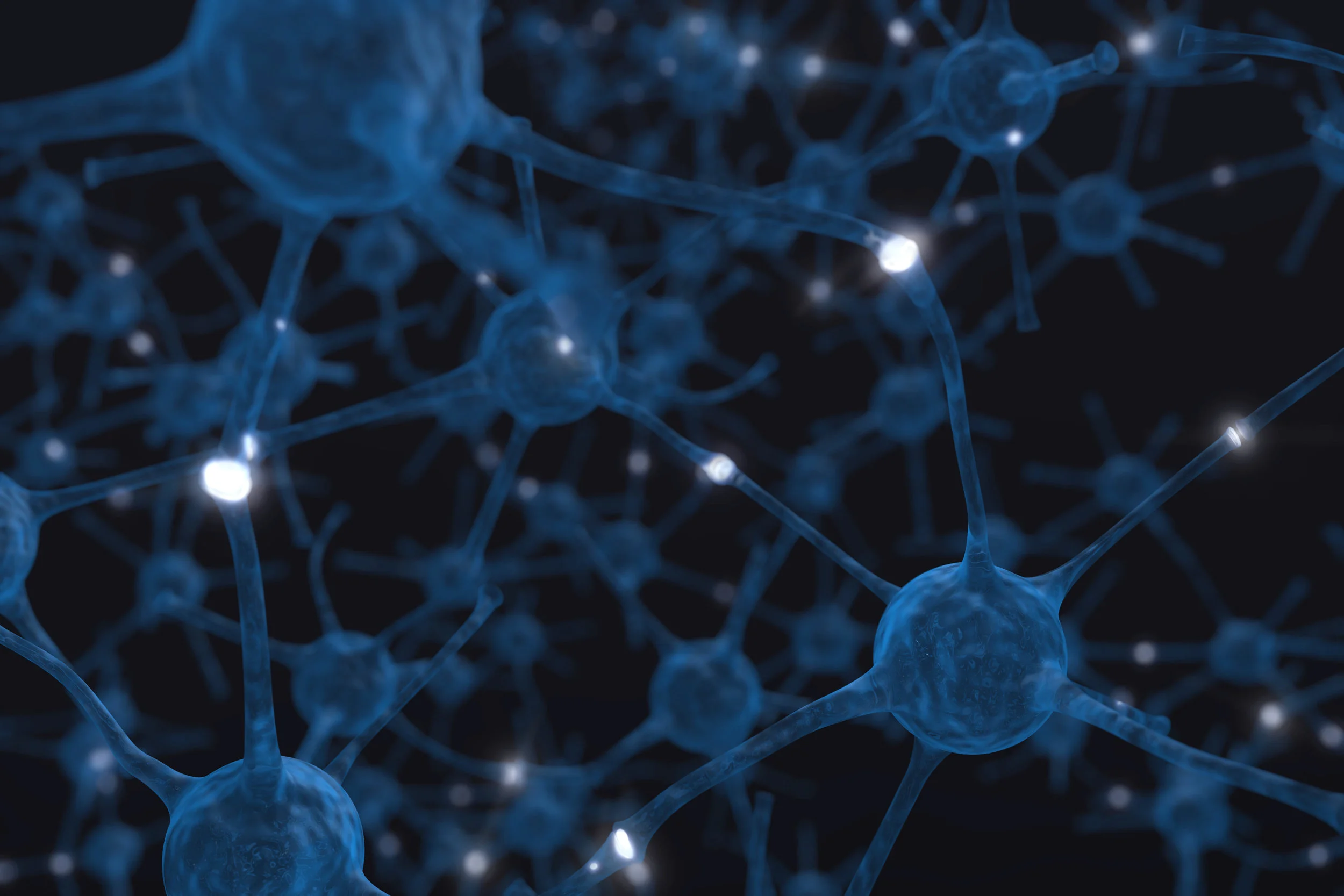 Neurons-Connection-Network-BIG.jpg