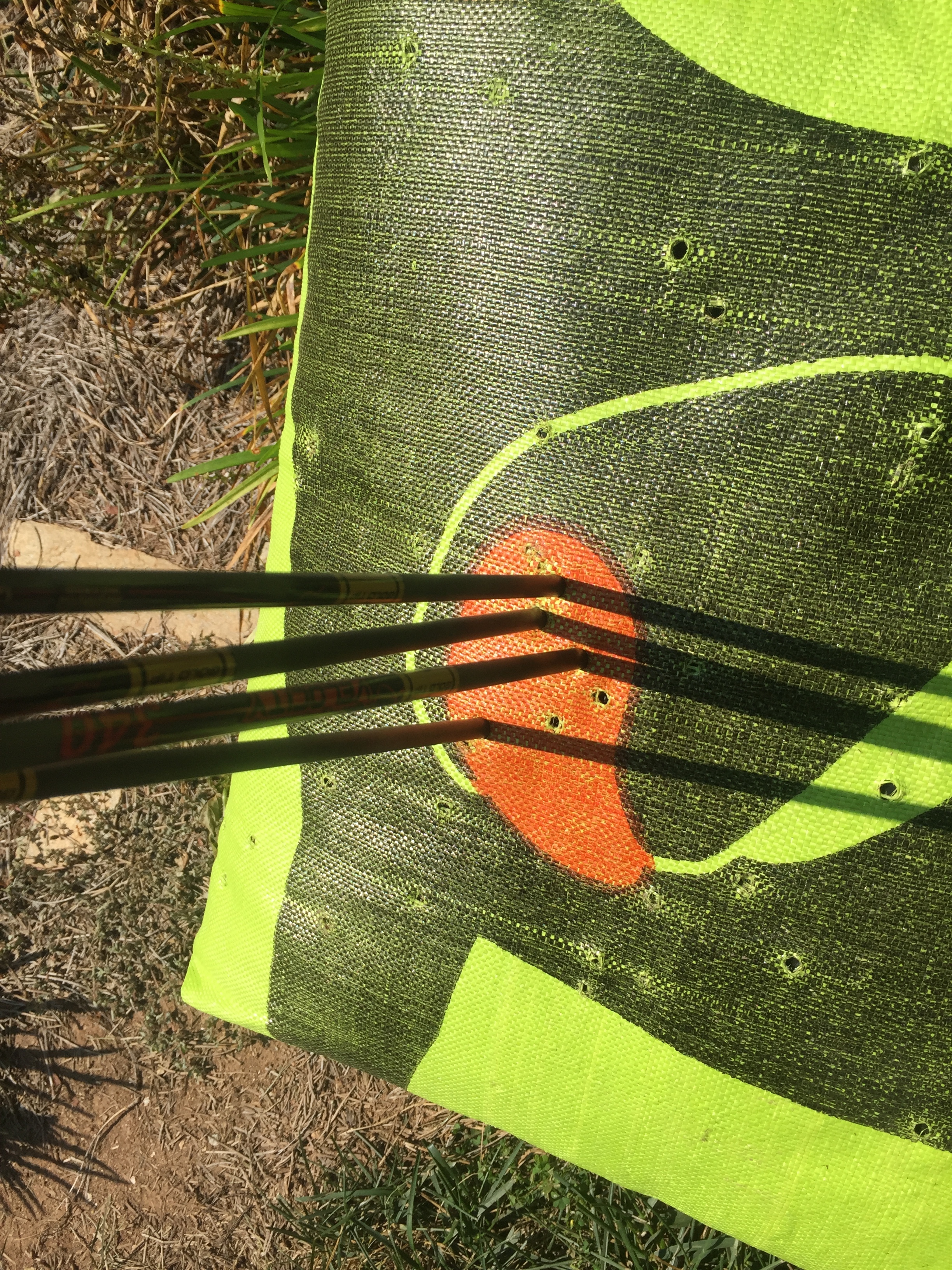 Sighting in the new bow. Looks like I am set for 20 yards!