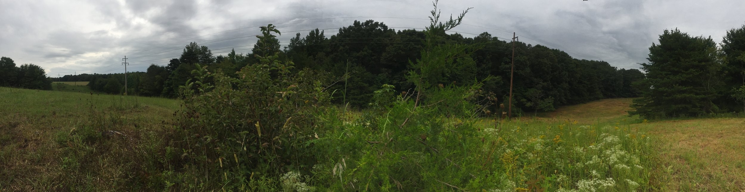 Panoramic of back field.
