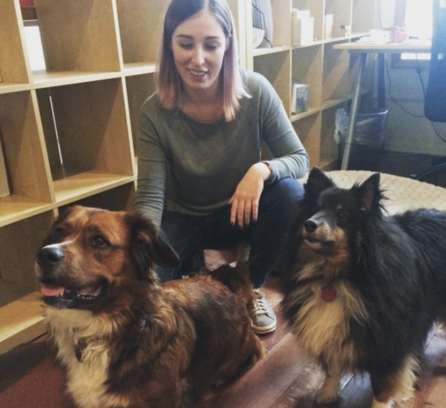 Me with a few of our office pups, Maisie (mine) and Obi