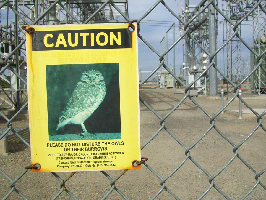 sign.jpg