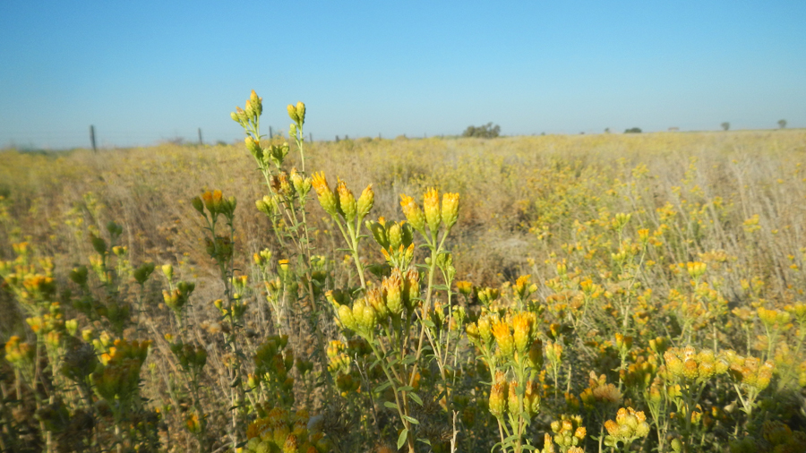 DSCN1055.jpg