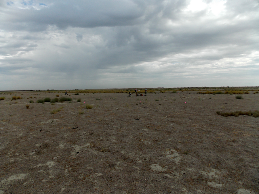 DSCN3769.jpg