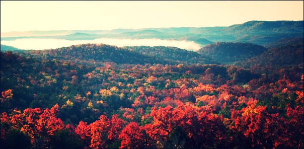 Ozark-view.png
