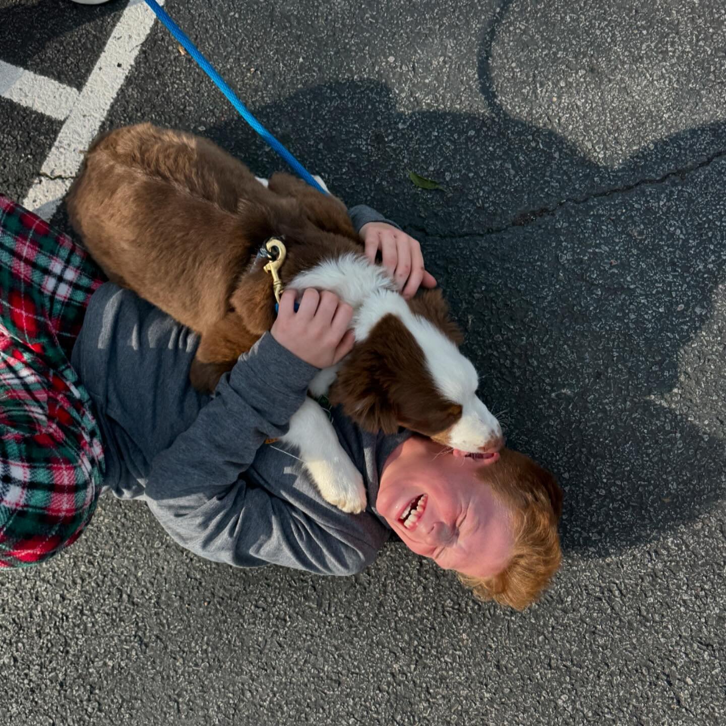 We love puppies almost as much as KLIFE!