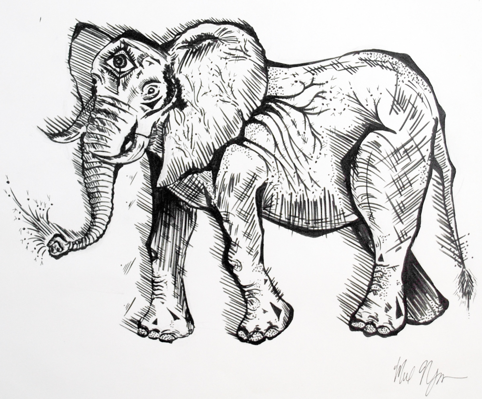 Elephant