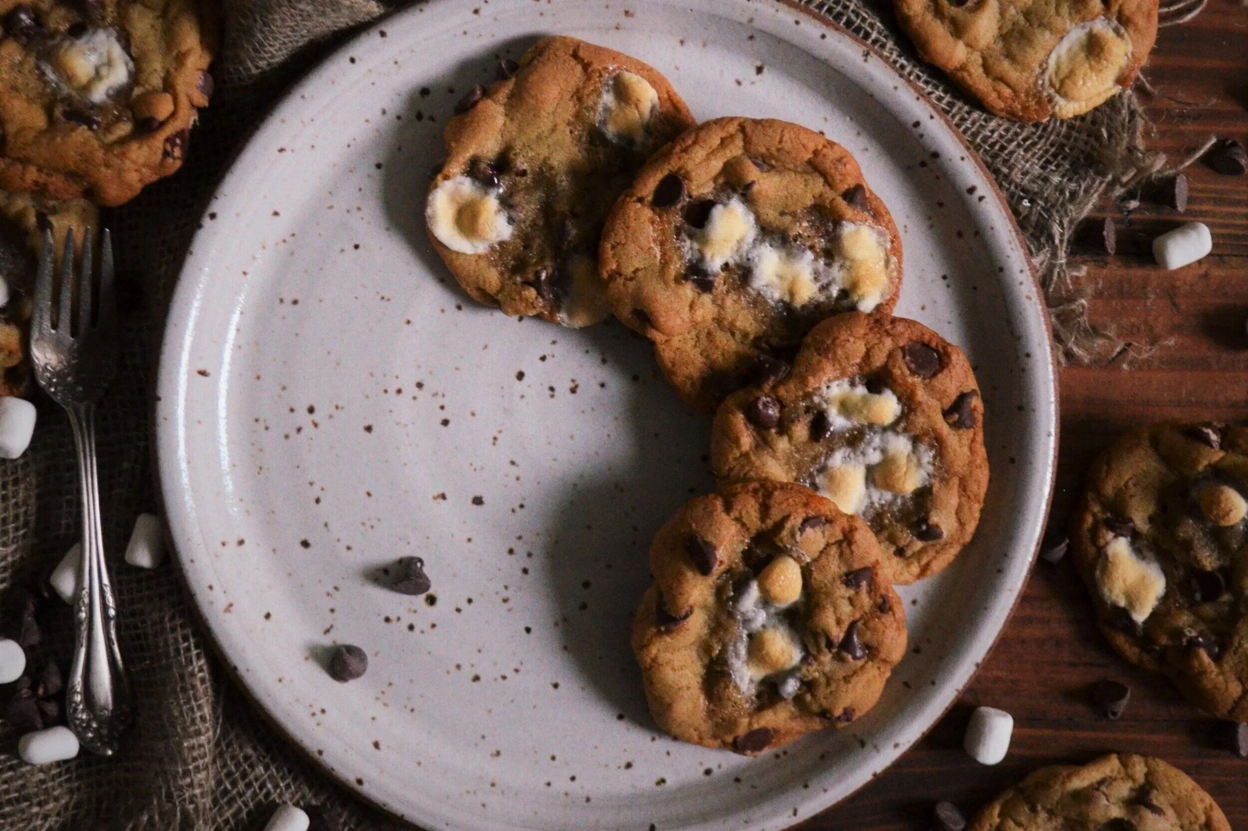 Chewy Chocolate Chip Marshmallow Cookies