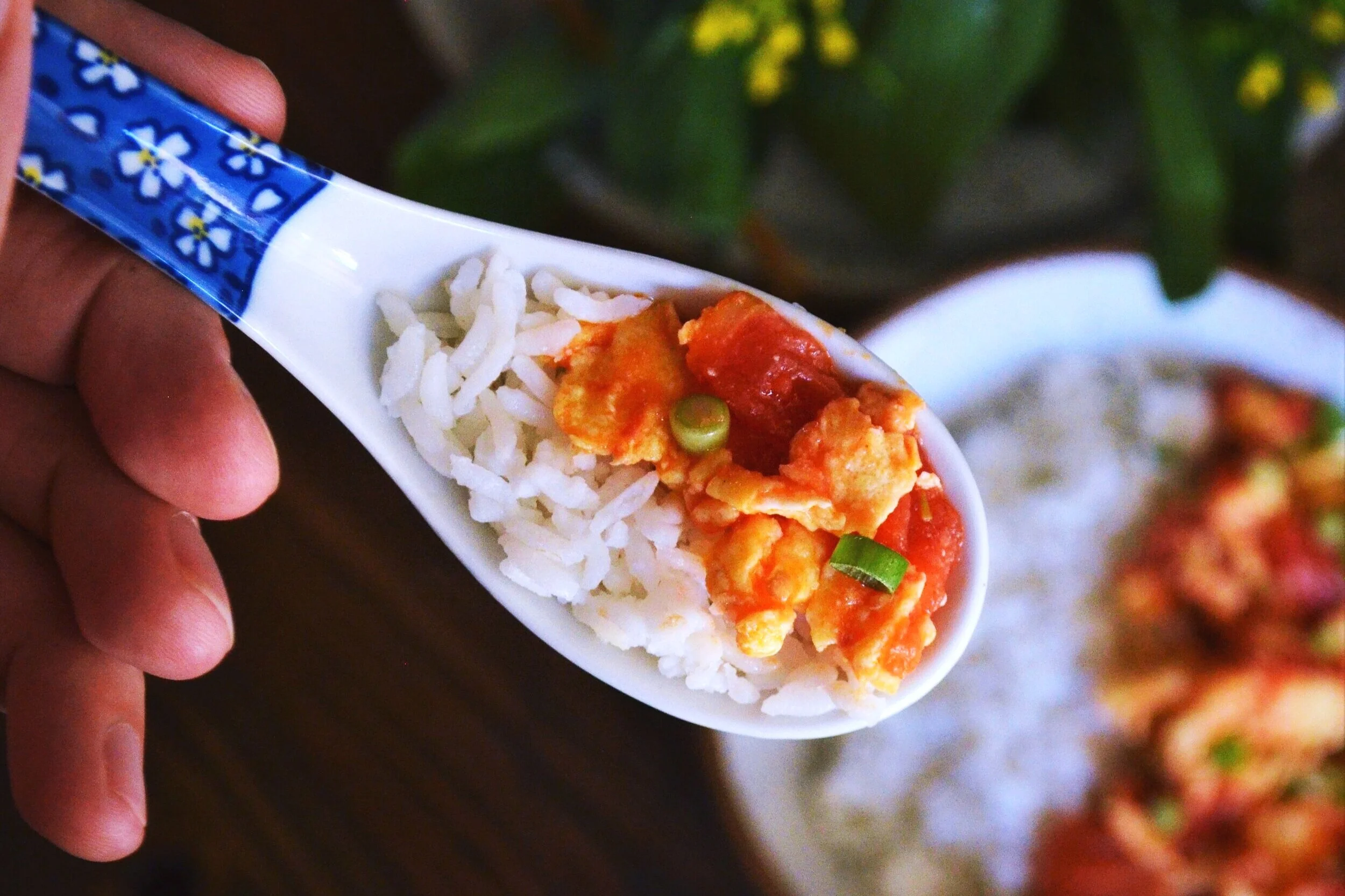 Tomatoes and Egg (番茄炒雞蛋)