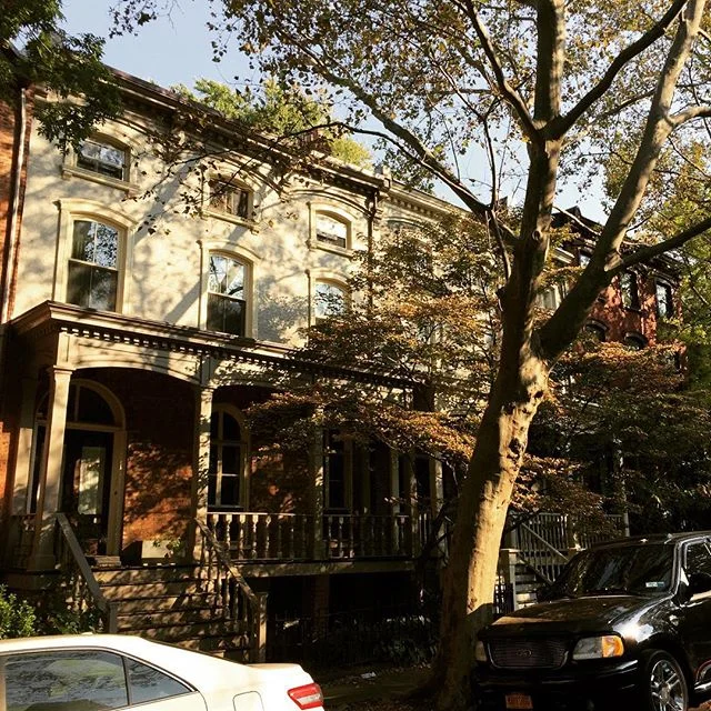 @allaboutwallabout #wallabout