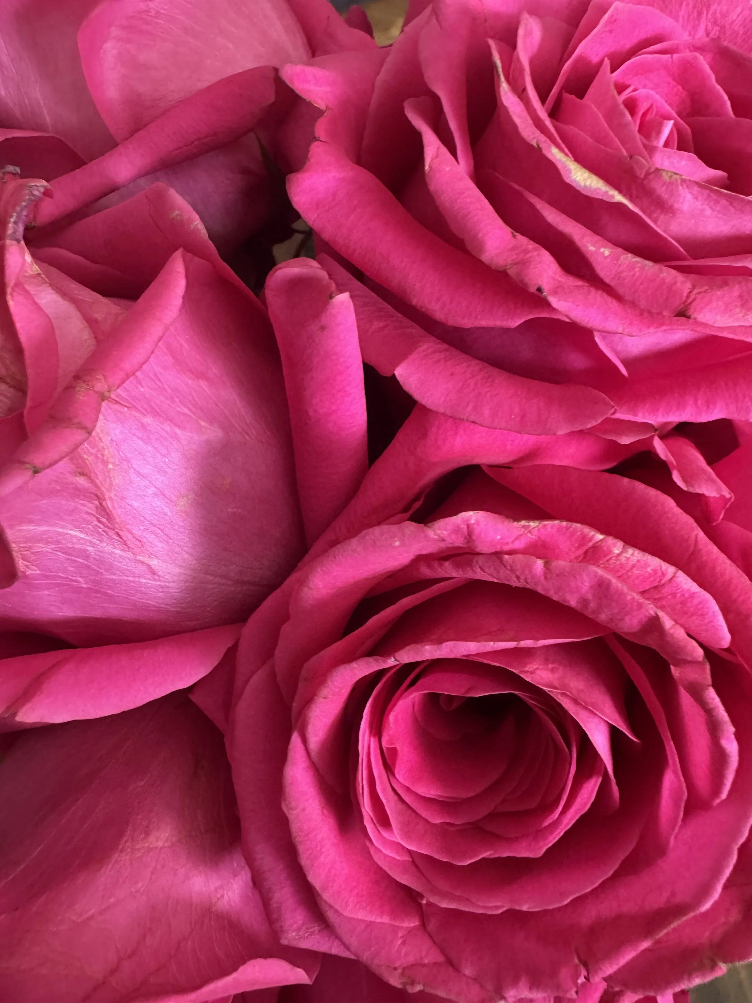 Creativity Release Prayer 