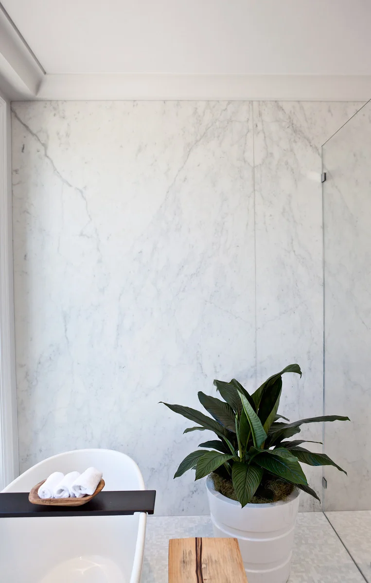 bathroom, tub, modern, shower, bath, indoor plant, house plant